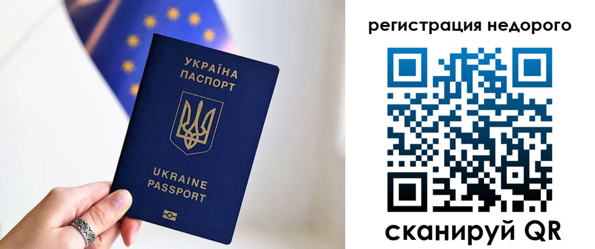 прописка 2025 в Лосино-Петровском